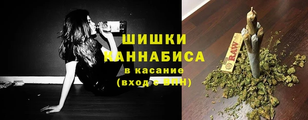 стаф Верея