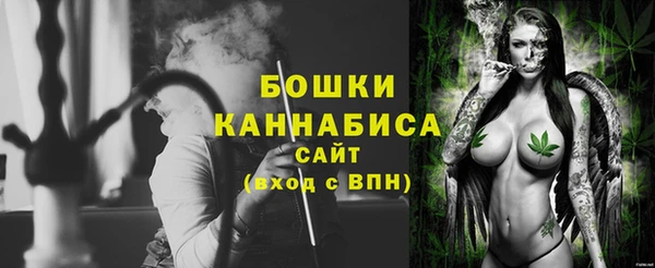 стаф Верея