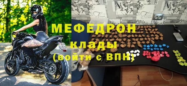 стаф Верея