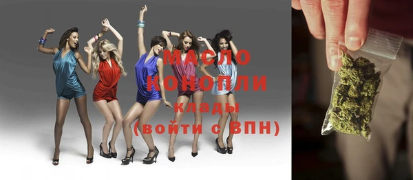 стаф Верея