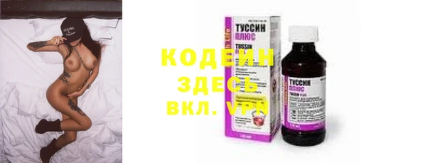 стаф Верея