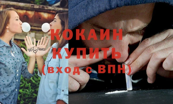 тгк Анива