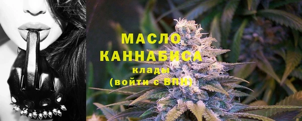 стаф Верея