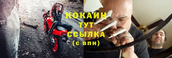 стаф Верея