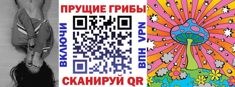 закладки Шахты это состав Галлюциногенные грибы мицелий hydra рабочий сайт